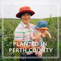 woman berry farmer holding baby standing in berry field
