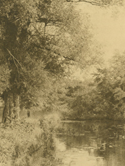 Black and white image of three along the Avon River in Stratford